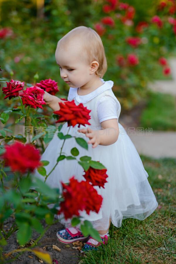 带雅的女孩英文名字：优雅与气质并存的选择